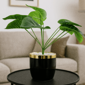 وعاء زرع أنيق وناعم بلمسات ذهبية رقيقة